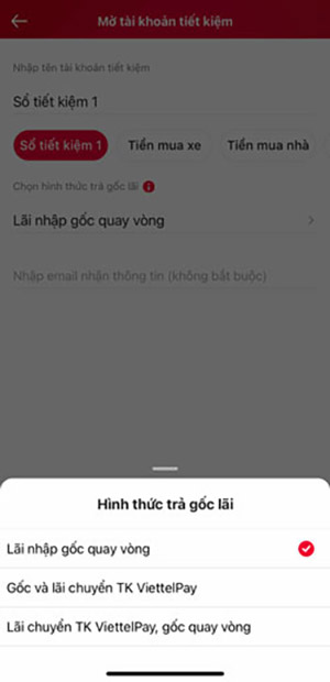 Nhập thông tin tài khoản và chọn hình thức trả gốc lãi