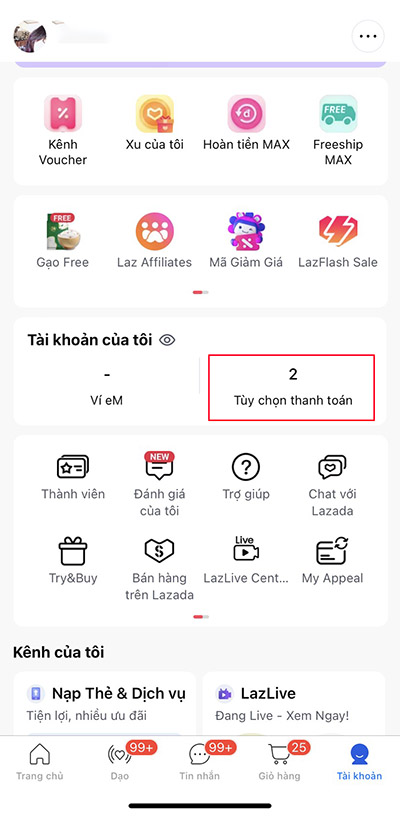 Lướt và vào mục "tùy chọn thanh toán"