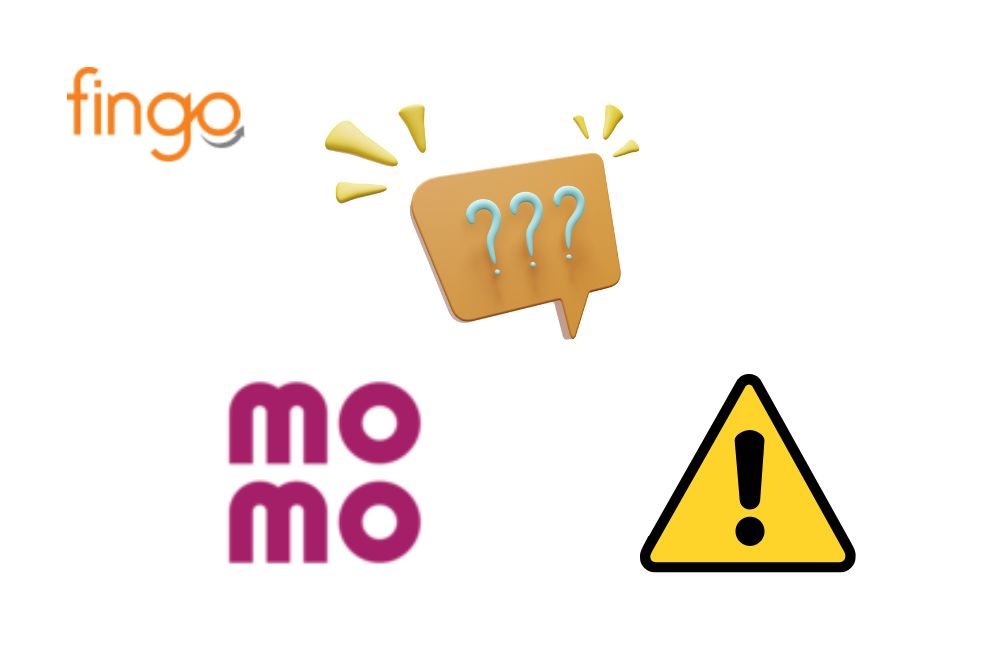 Vì sao Momo bị lỗi