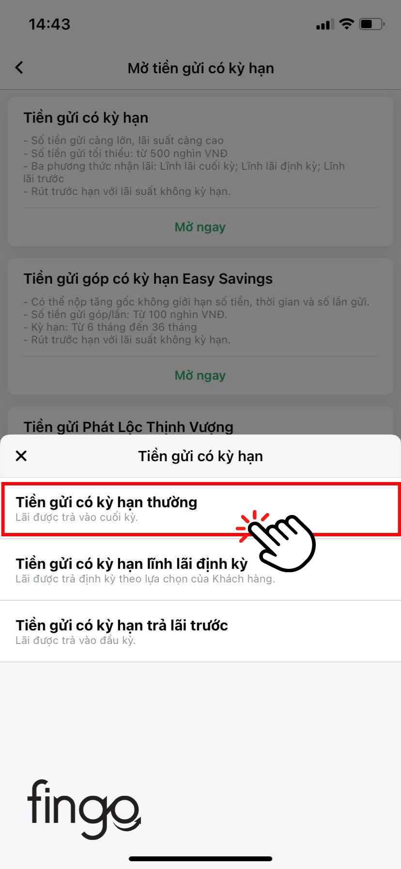 Chọn vào "Tiền gửi có kỳ hạn thường"