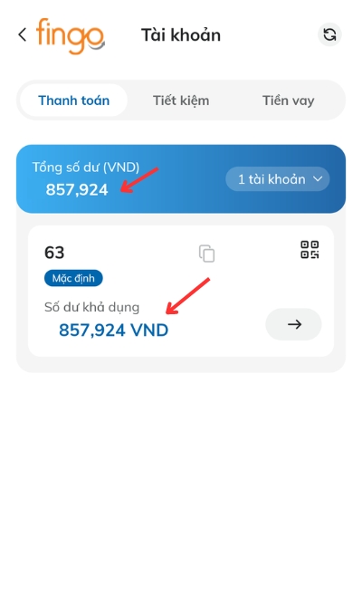 Màn hình sẽ hiển thị tổng số dư và số dư khả dụng.