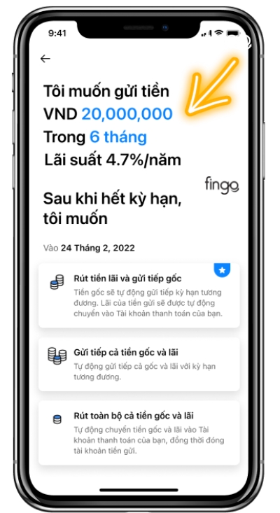 Nhập số tiền và kỳ hạn mà bạn muốn gửi