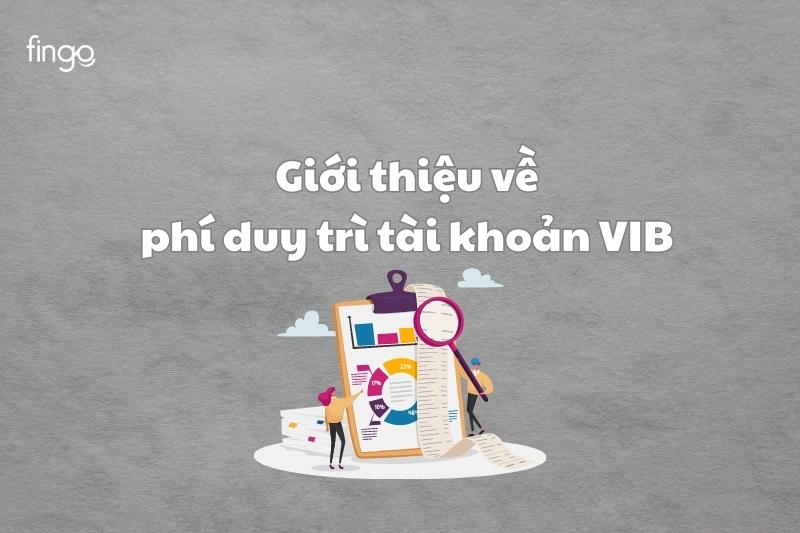 Giới thiệu về phí duy trì tài khoản VIB 