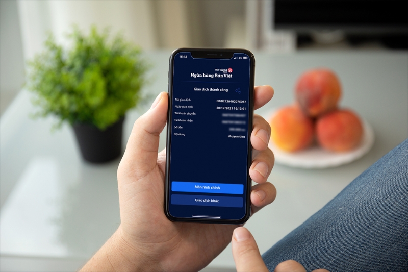 Internet Banking Bản Việt là gì?