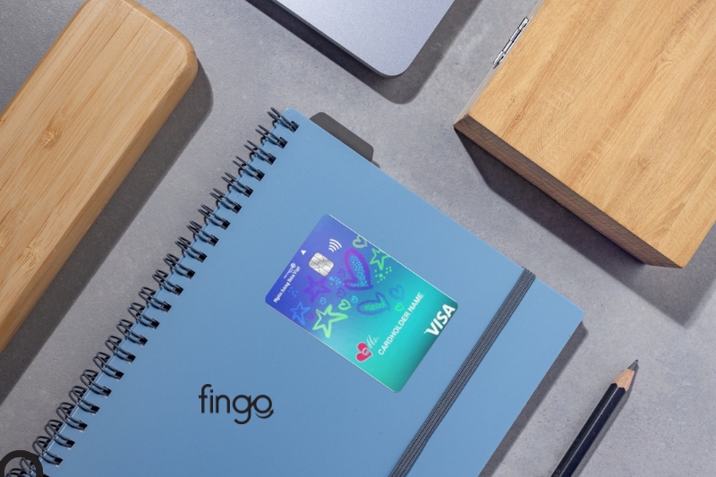 Thẻ tín dụng VISA Ms. Bản Việt là gì?