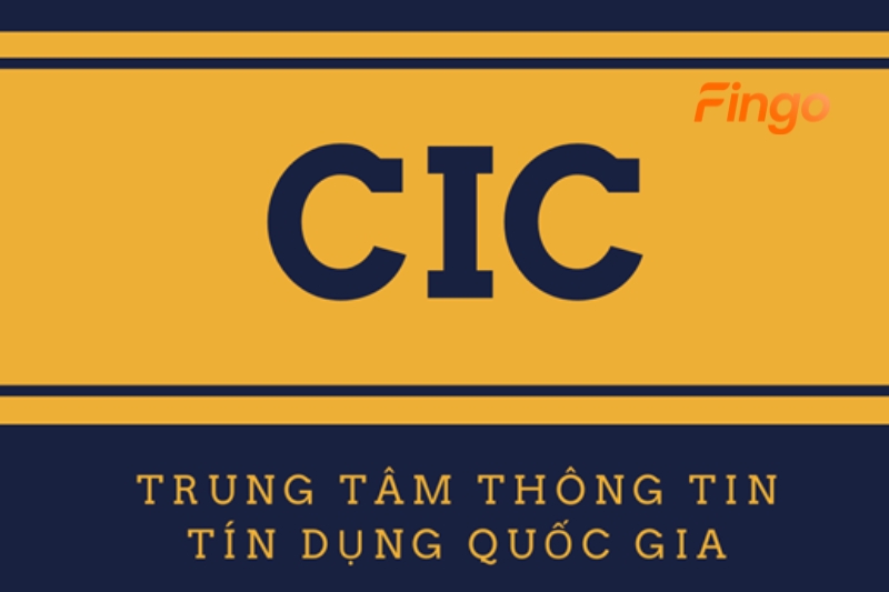 Cách kiểm tra tại website CIC