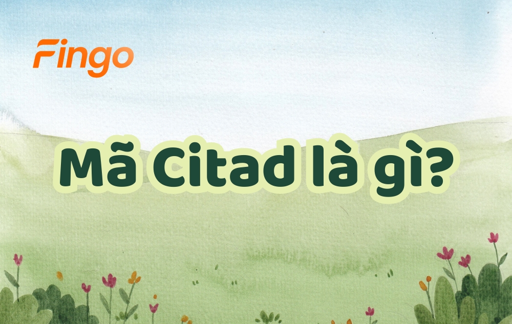 Mã Citad là gì?
