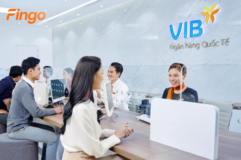 Biểu phí vay thấu chi VIB