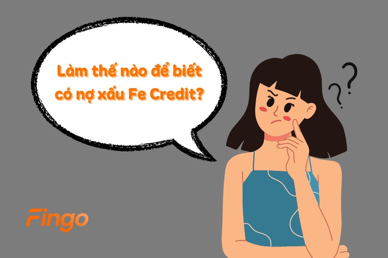 Làm thế nào để biết có nợ xấu Fe Credit?