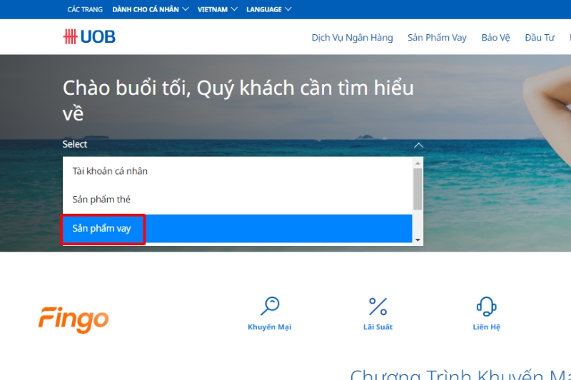 Tại mục “Sản phẩm vay”