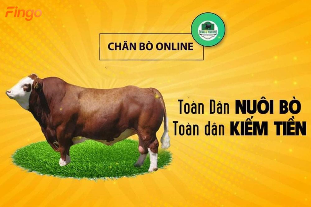 chăn bò online app kiếm tiền lừa đảo